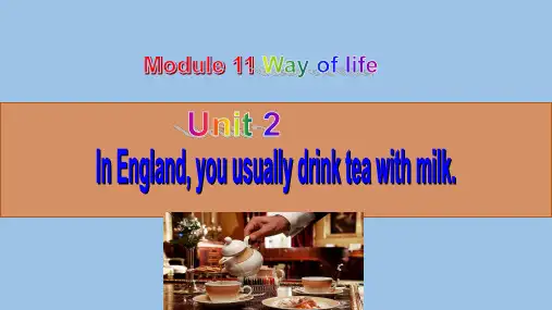 初中英语外研版八年级上册Module11 Unit 2 In England you 课件