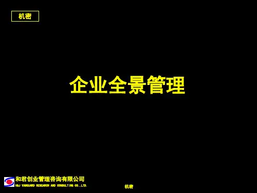 某咨询创业管理咨询有限公司ppt幻灯片模板.pptx