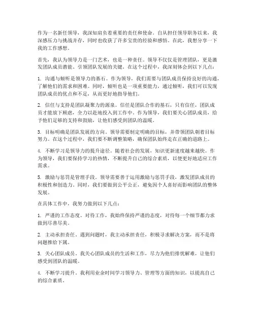 新任领导工作感想