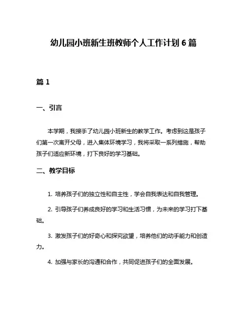 幼儿园小班新生班教师个人工作计划6篇