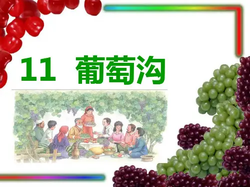 部编版二年级语文上册《葡萄沟》课件PPT