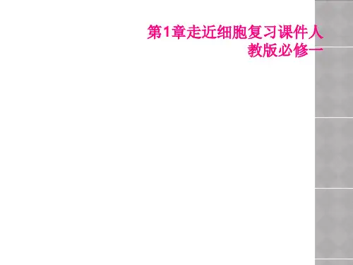 第1章走近细胞复习课件人教版必修一