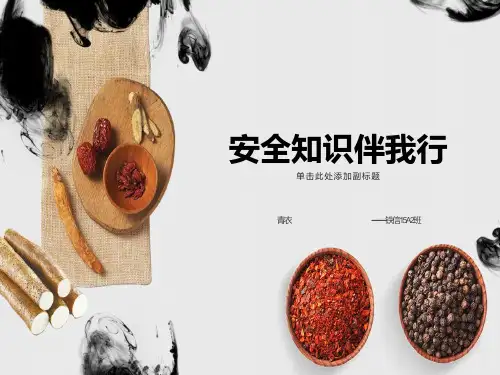 安全知识伴我行主题班会PPT课件