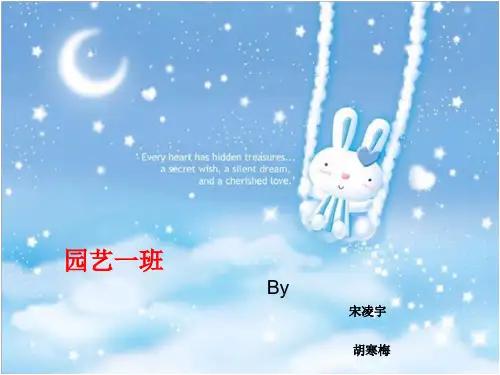 水溶性维生素.ppt