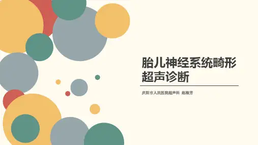 胎儿神经系统畸形超声诊断1