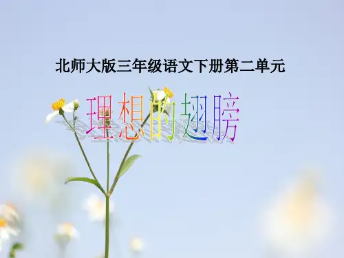 理想的翅膀PPT教学课件