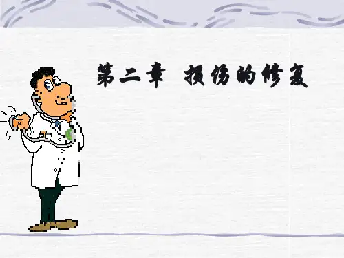 7版病理学课件 损伤与修复