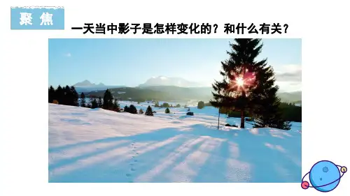 教科版六年级上册科学2.5 影子的四季变化课件