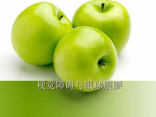 视觉障碍与眼球震颤精品PPT课件