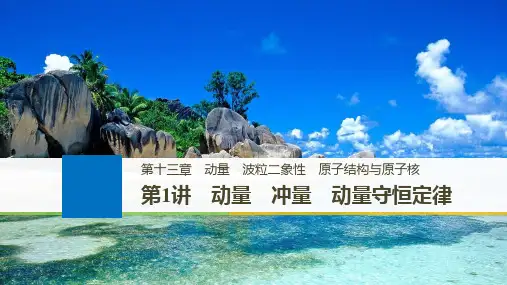 2019年高考物理大一轮复习江苏专版课件：第十三章 动量 波粒二象性 原子结构与原子核 第1讲 精品