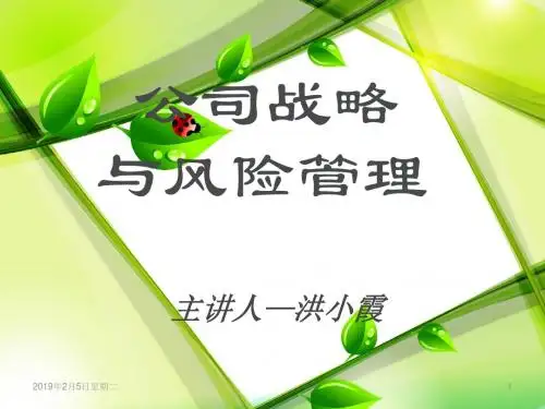 《公司战略与风险管理》课件