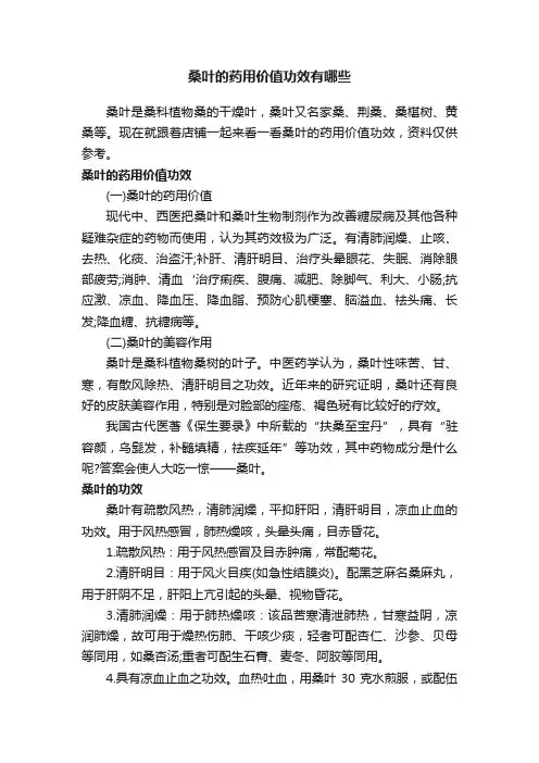 桑叶的药用价值功效有哪些