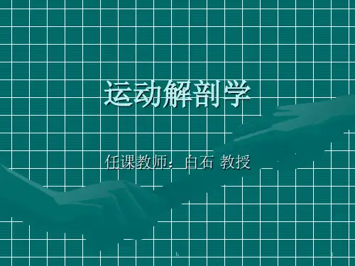 《运动解剖学教案》PPT课件