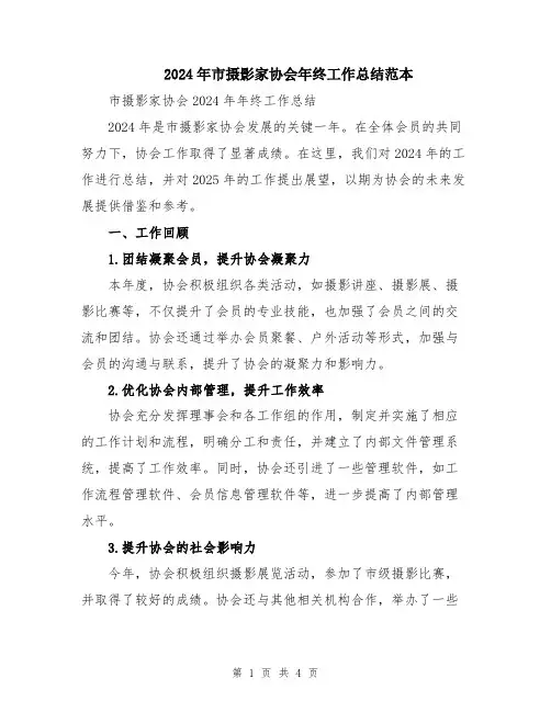 2024年市摄影家协会年终工作总结范本