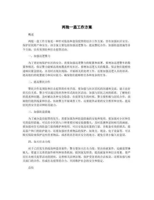 两抢一盗工作方案