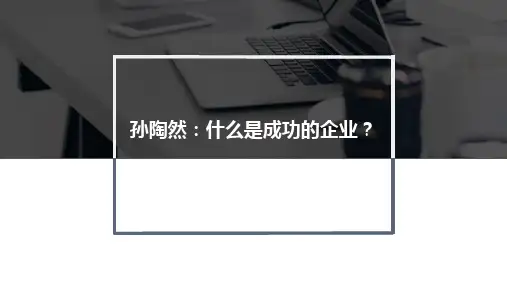 孙陶然：什么是成功的企业？