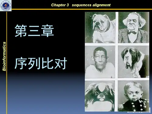 序列比对