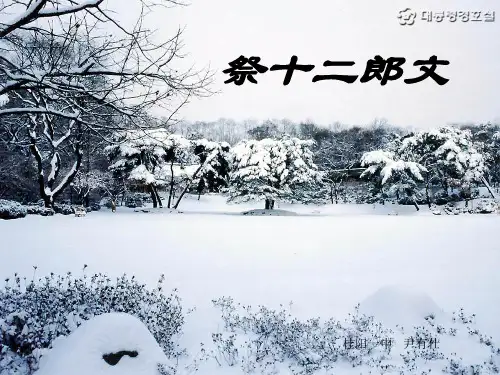 人教高二语文下学期第五单元 祭十二郎文