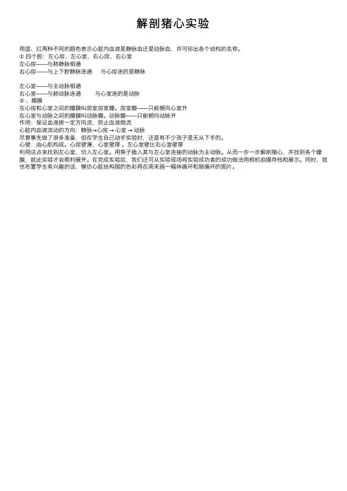解剖猪心实验