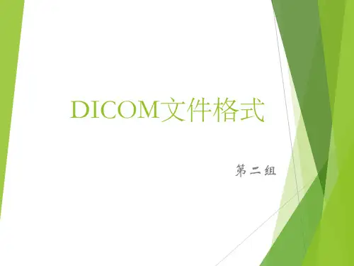dicom文件格式