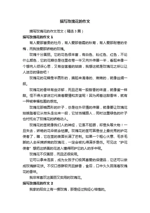 描写玫瑰花的作文范文（精选3篇）