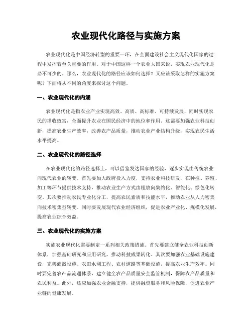 农业现代化路径与实施方案