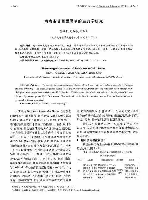 青海省甘西鼠尾草的生药学研究