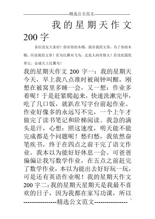 我的星期天作文200字
