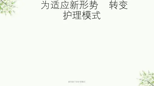 新形势下的护理模式课件