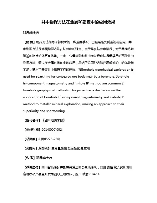 井中物探方法在金属矿勘查中的应用效果
