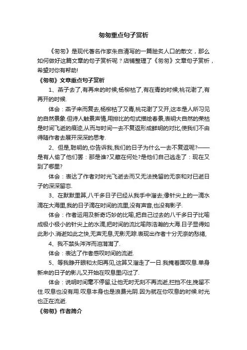 匆匆重点句子赏析