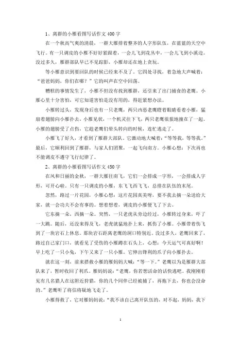 精选离群的小雁看图写话作文400字450字