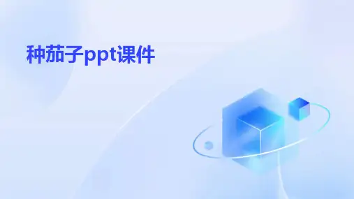 种茄子ppt课件