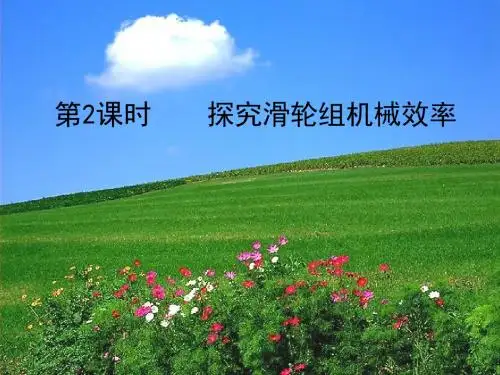 初中物理《探究滑轮组机械效率》(共13张)ppt