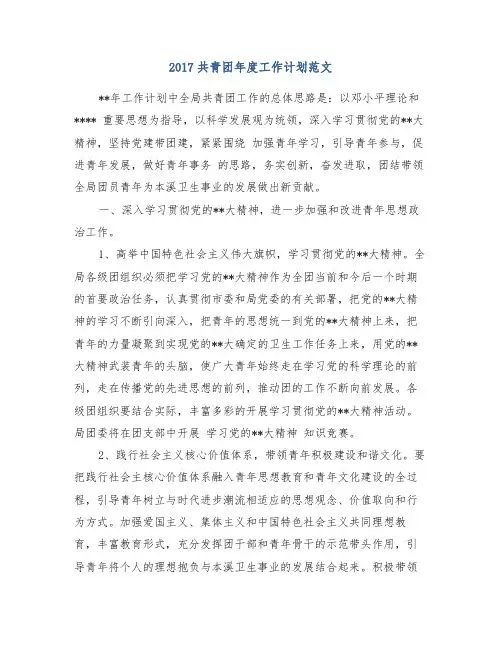 2017共青团年度工作计划范文
