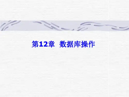 第12章 数据库操作及编程PPT教学课件