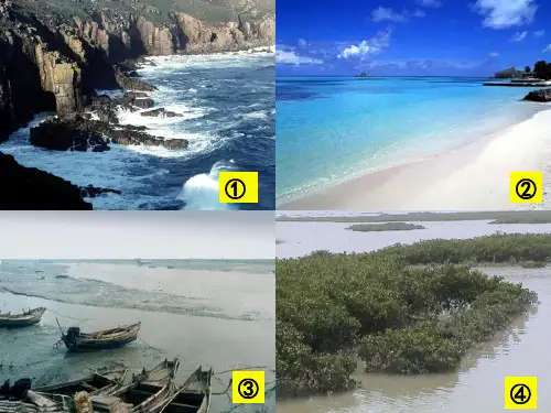 海岸的分类 ppt课件