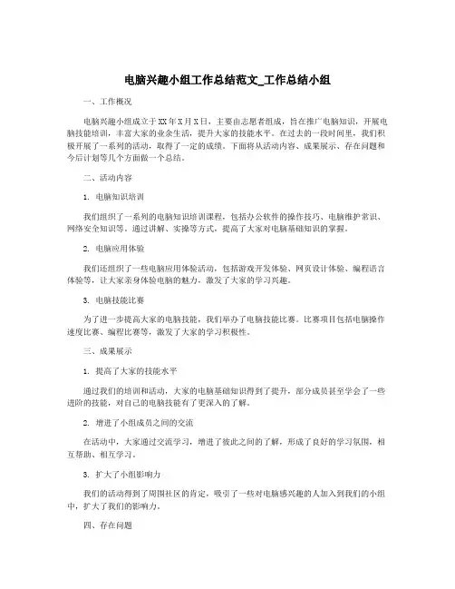 电脑兴趣小组工作总结范文_工作总结小组
