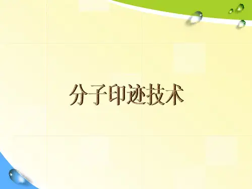 分子印记技术
