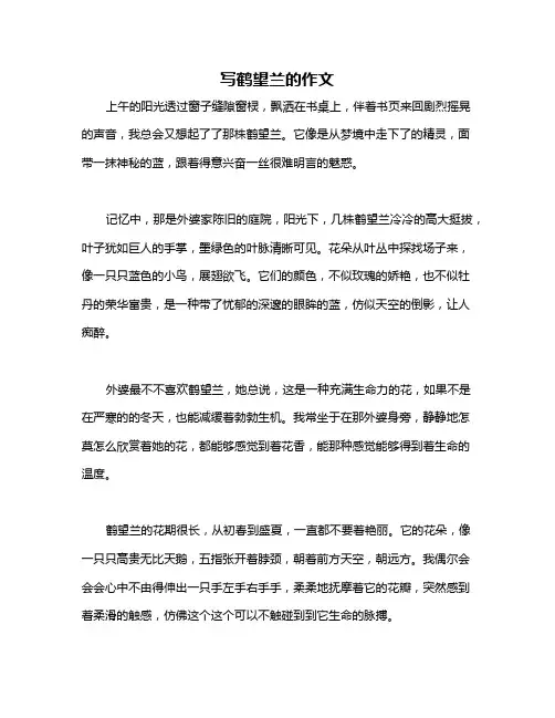 写鹤望兰的作文