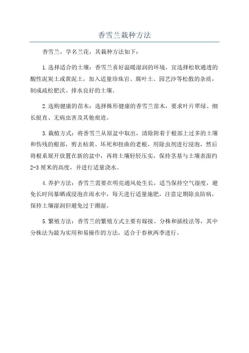 香雪兰栽种方法