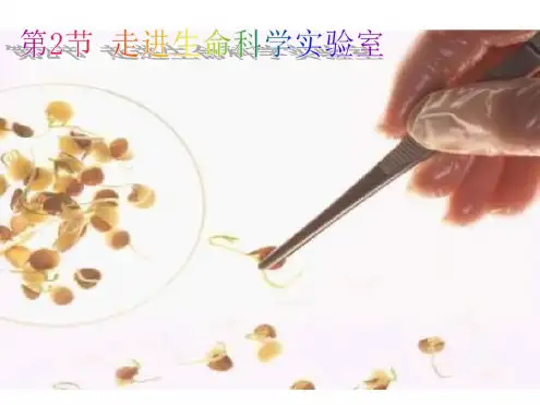 高一生物走进生命科学实验室