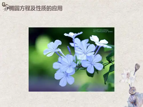 椭圆方程及性质的应用