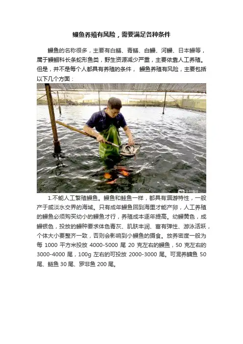 鳗鱼养殖有风险，需要满足各种条件