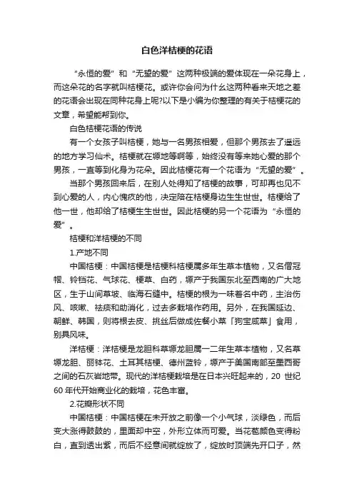 白色洋桔梗的花语