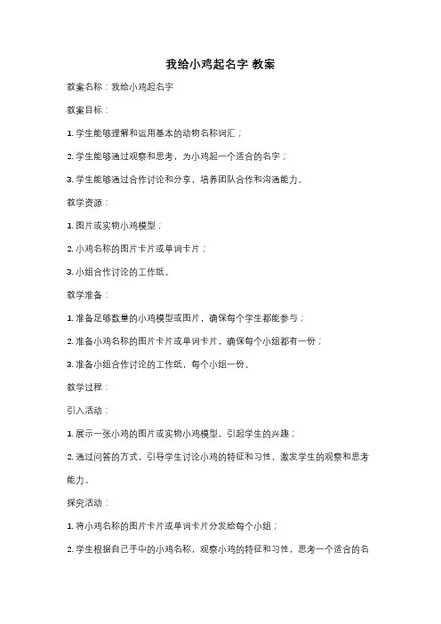 我给小鸡起名字 教案