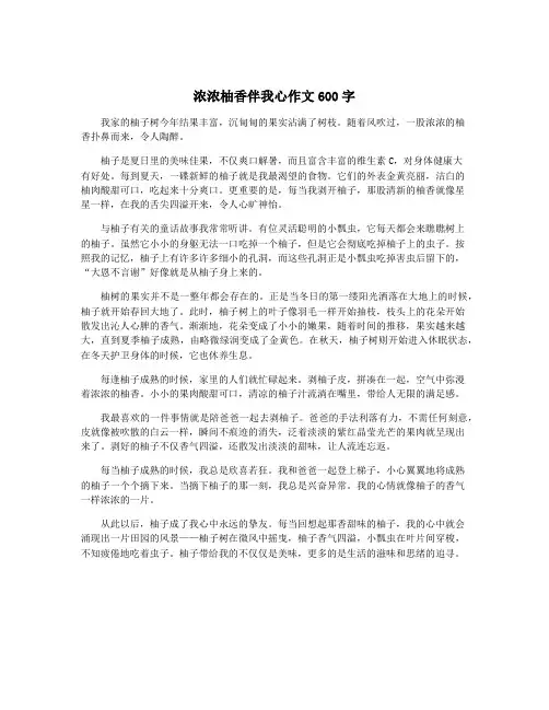浓浓柚香伴我心作文600字