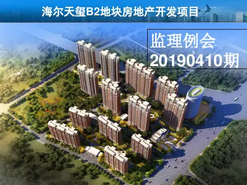 监理例会汇报PPT(1)