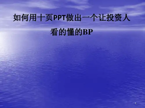 项目BP商业模式ppt课件