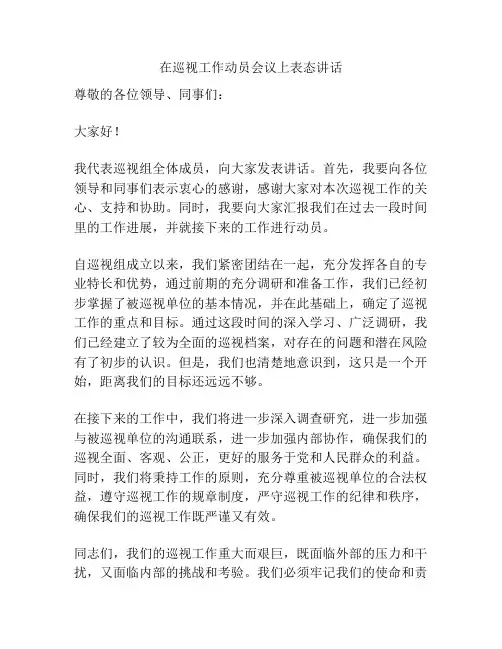 在巡视工作动员会议上表态讲话